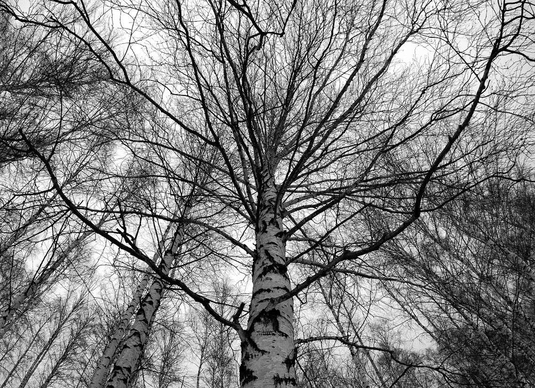 �������� ����� ����  �� PhotoGeek.ru #������ ��� ������� #��������� #������ #����� �������� #�����-�����