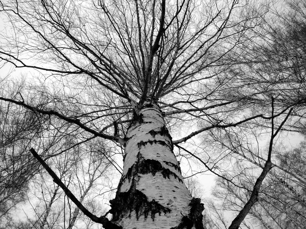 ����� ����� ����  �� PhotoGeek.ru #������ ��� ������� #����� �������������� #��������� #������ #����� �������� #�����-�����