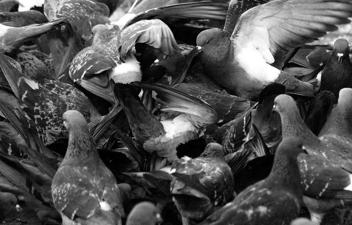 ����� ����� ����  �� PhotoGeek.ru #����� #�������� ��� #������ ������ #����� ��� ��� ��������� #�����-�����