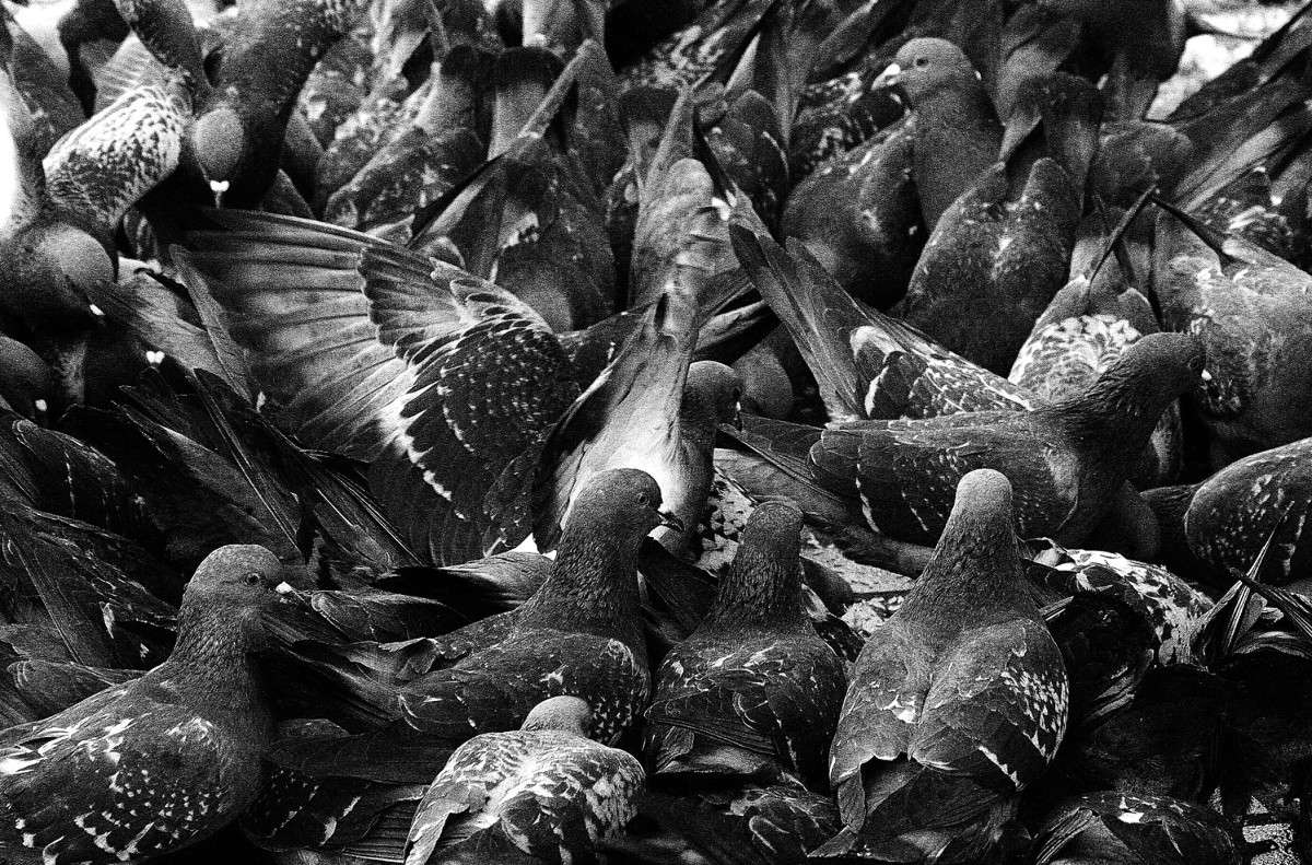 �����/�2 ����� ����  �� PhotoGeek.ru #����� #�������� ��� #������ ��� ������� #������ ������ #����� ��� ��� ��������� #��������� #������ #����� �������� #�����-�����