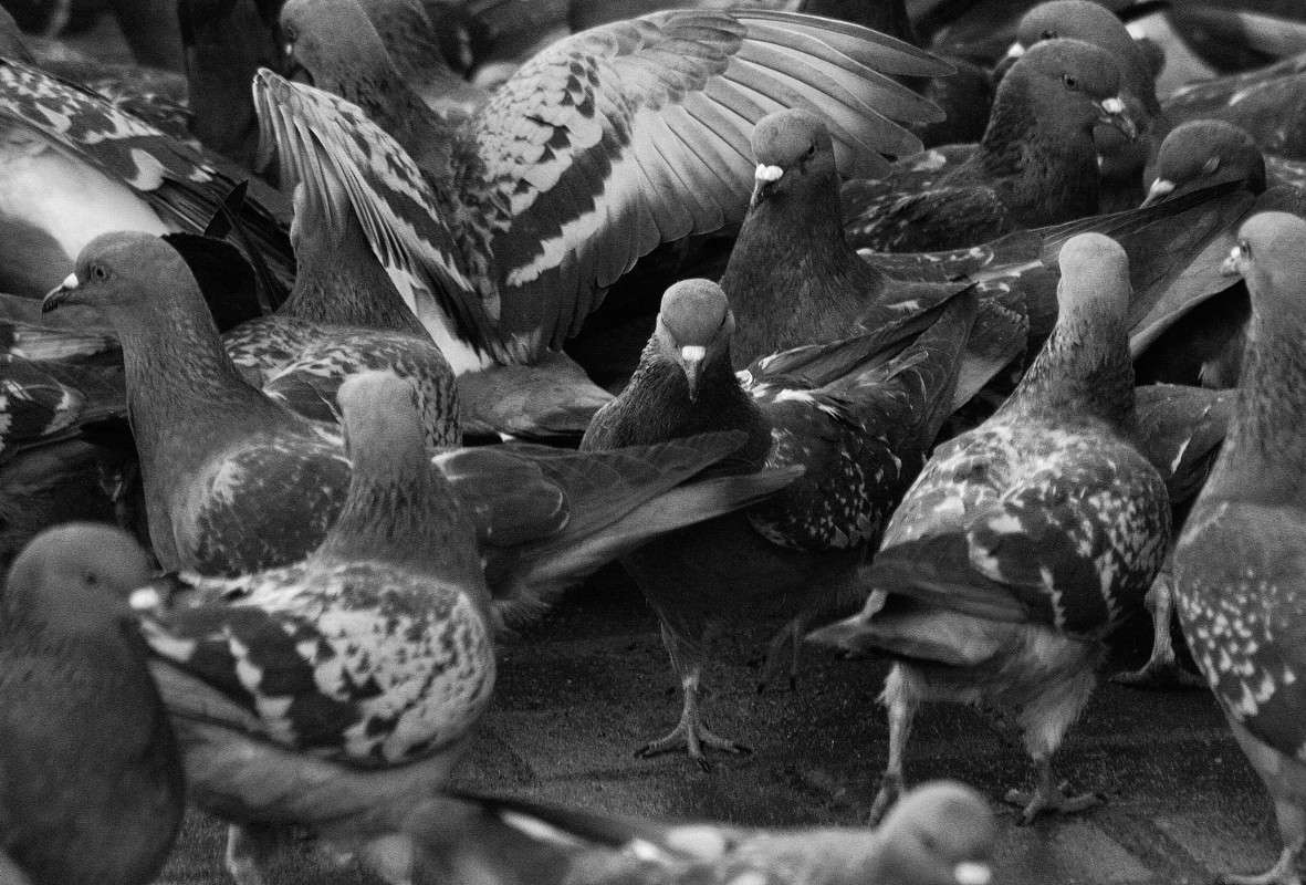 "�� ������" ����� ����  �� PhotoGeek.ru #����� #�������� ��� #������ ��� ������� #������ ������ #��������� #������ #����� �������� #�����-�����