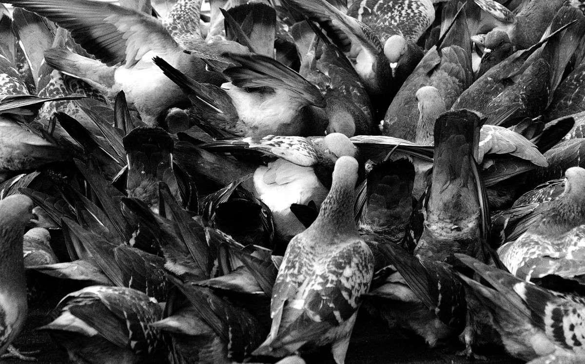 ����� ����� ����  �� PhotoGeek.ru #����� #�������� ��� #������ ������ #����� ��� ��� ��������� #�����-�����