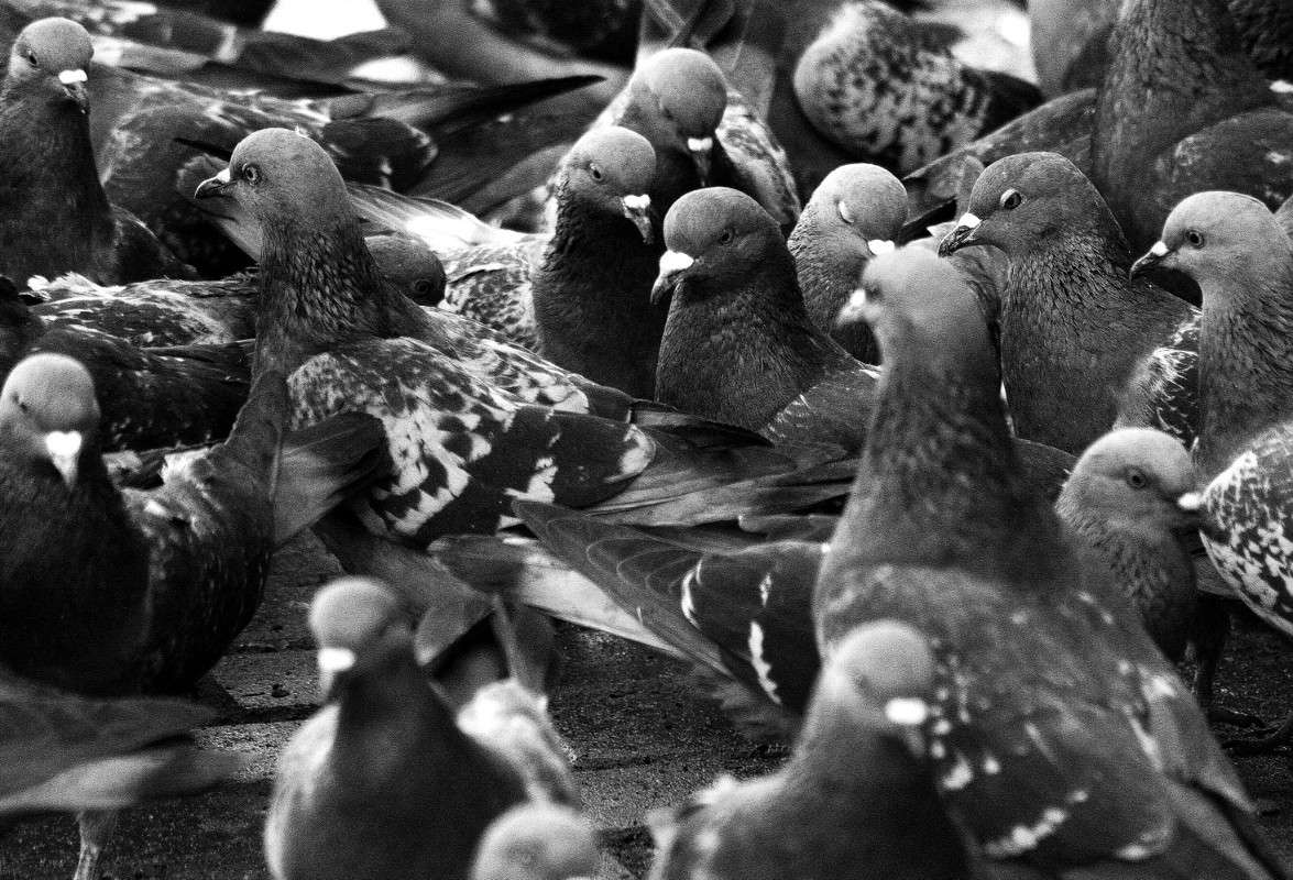 ������� ����� ����  �� PhotoGeek.ru #����� #�������� ��� #������ ��� ������� #������ ������ #����� ��� ��� ��������� #��������� #������ #����� �������� #�����-�����