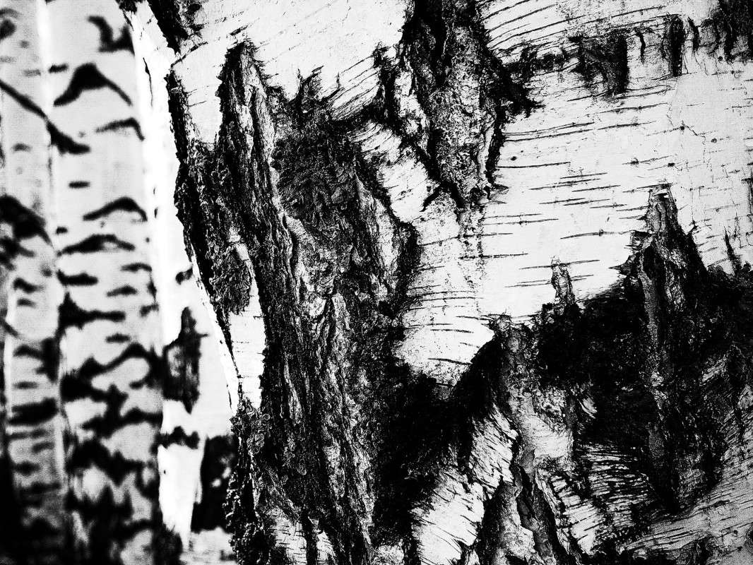 �/� ����� ����  �� PhotoGeek.ru #������ ��� ������� #���������� #����� �������������� #��������� #������ #����� �������� #�����-�����