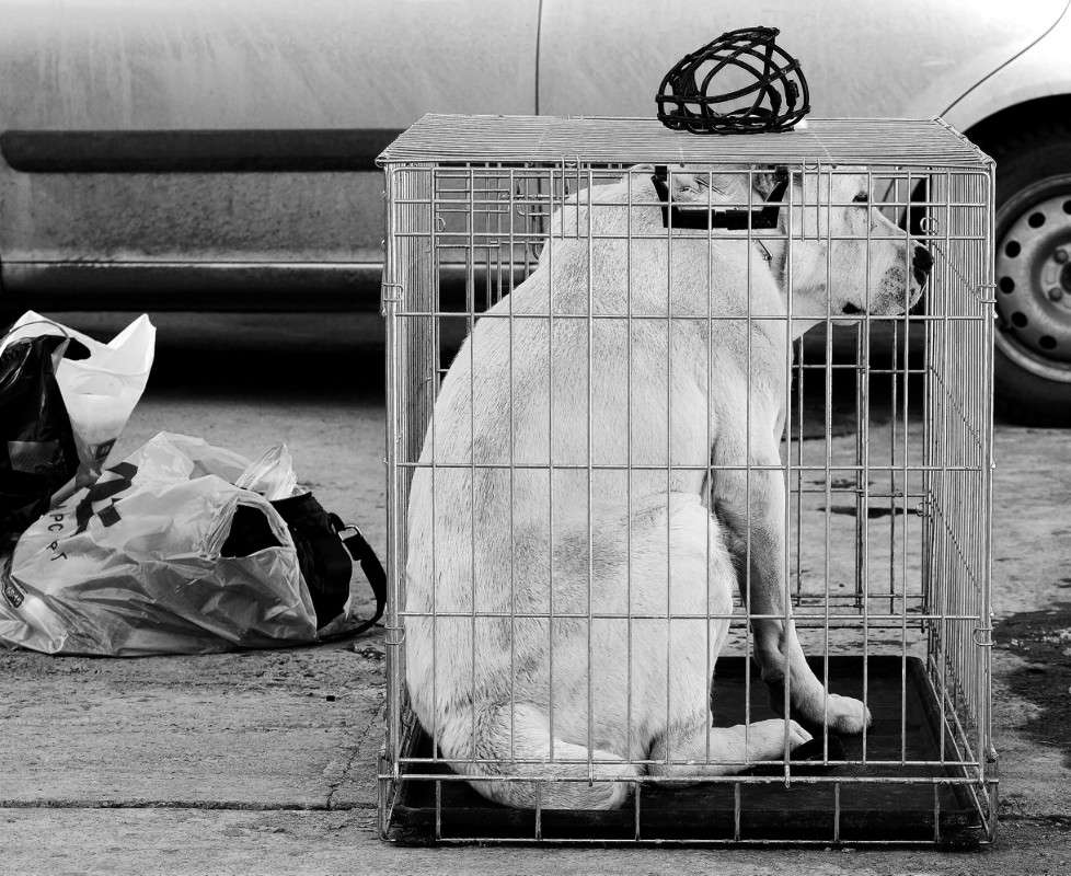 ������ ����� ����  �� PhotoGeek.ru #������� #����� #�������� ��� #�������� #������ ������ #�����-�����