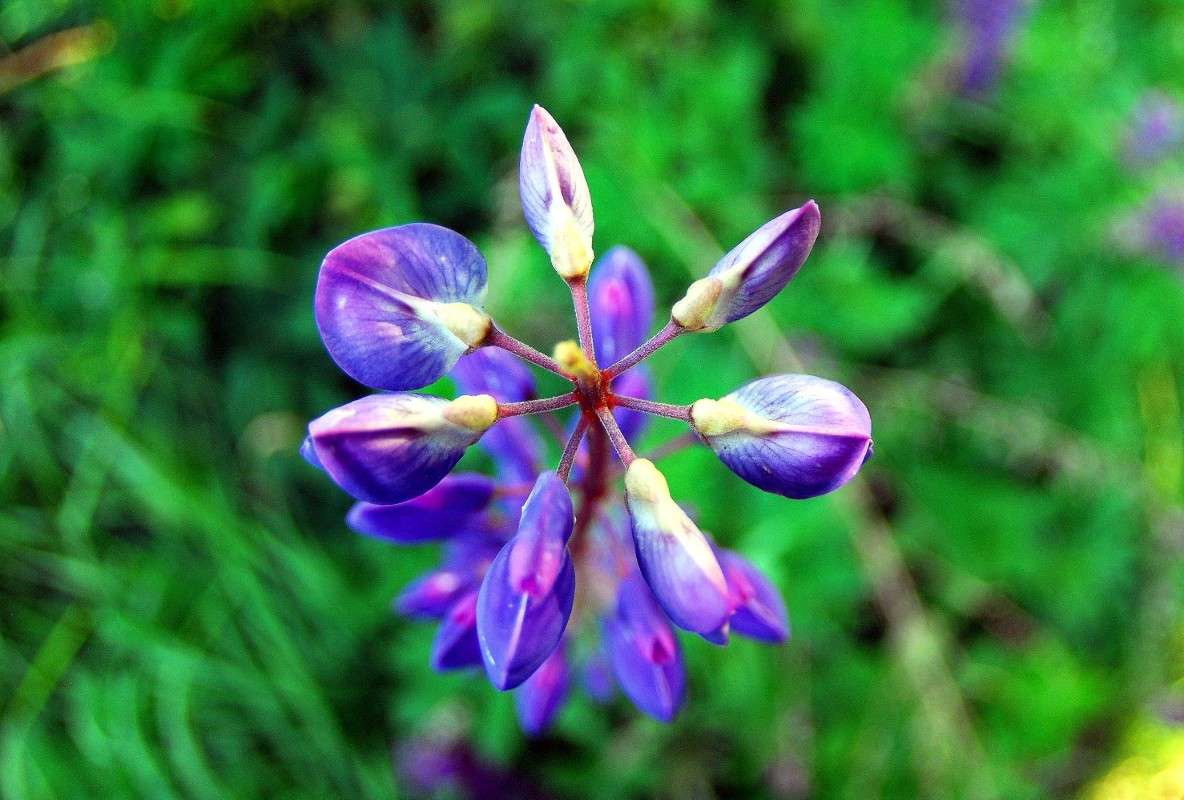 �������� ����� ����  �� PhotoGeek.ru #������ ��� ������� #����� �������������� #��������� #������ #����� ��������