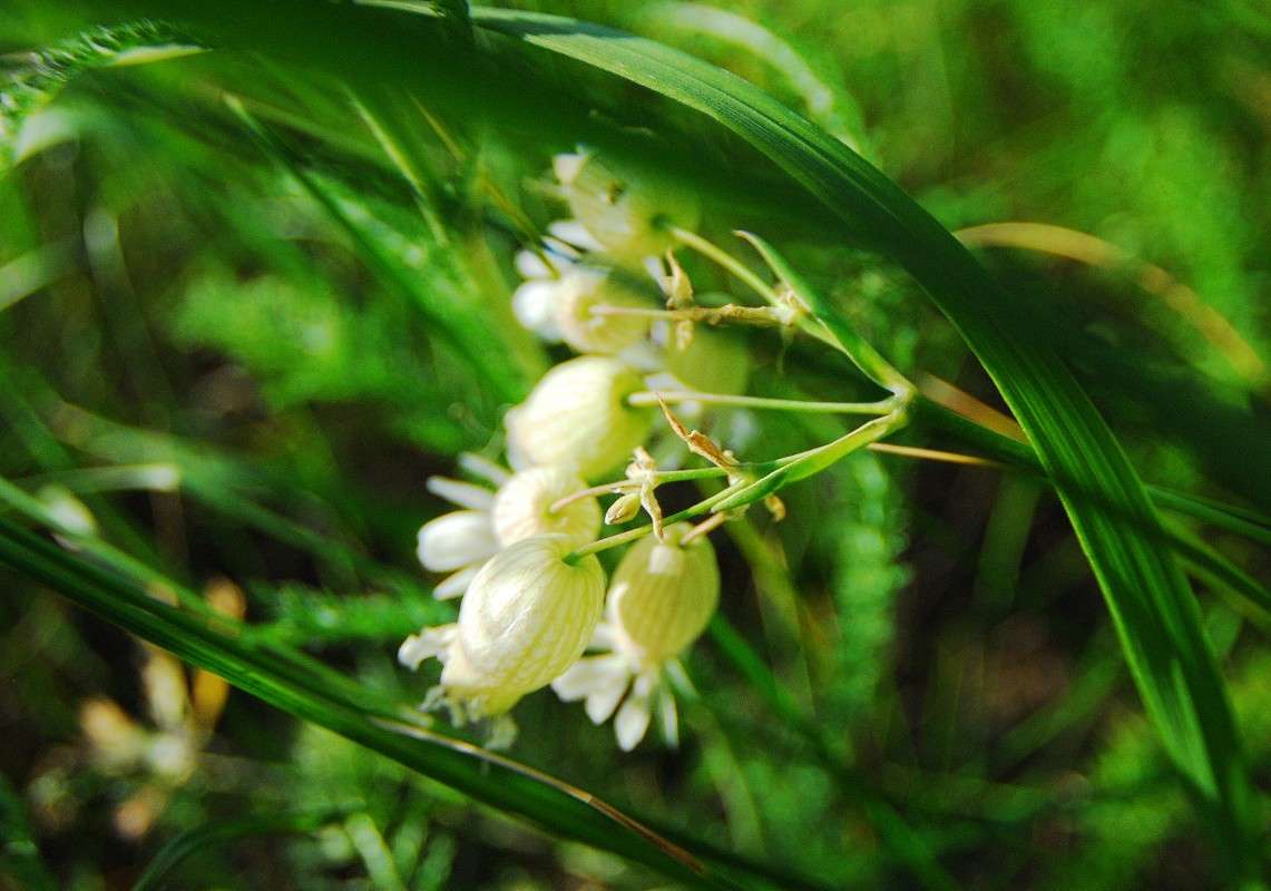 ������ ����� ����  �� PhotoGeek.ru #������ ��� ������� #����� �������������� #��������� #������ #����� ��������