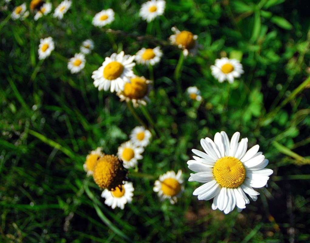 ������� ����� ����  �� PhotoGeek.ru #������ ��� ������� #����� �������������� #��������� #������ #����� ��������