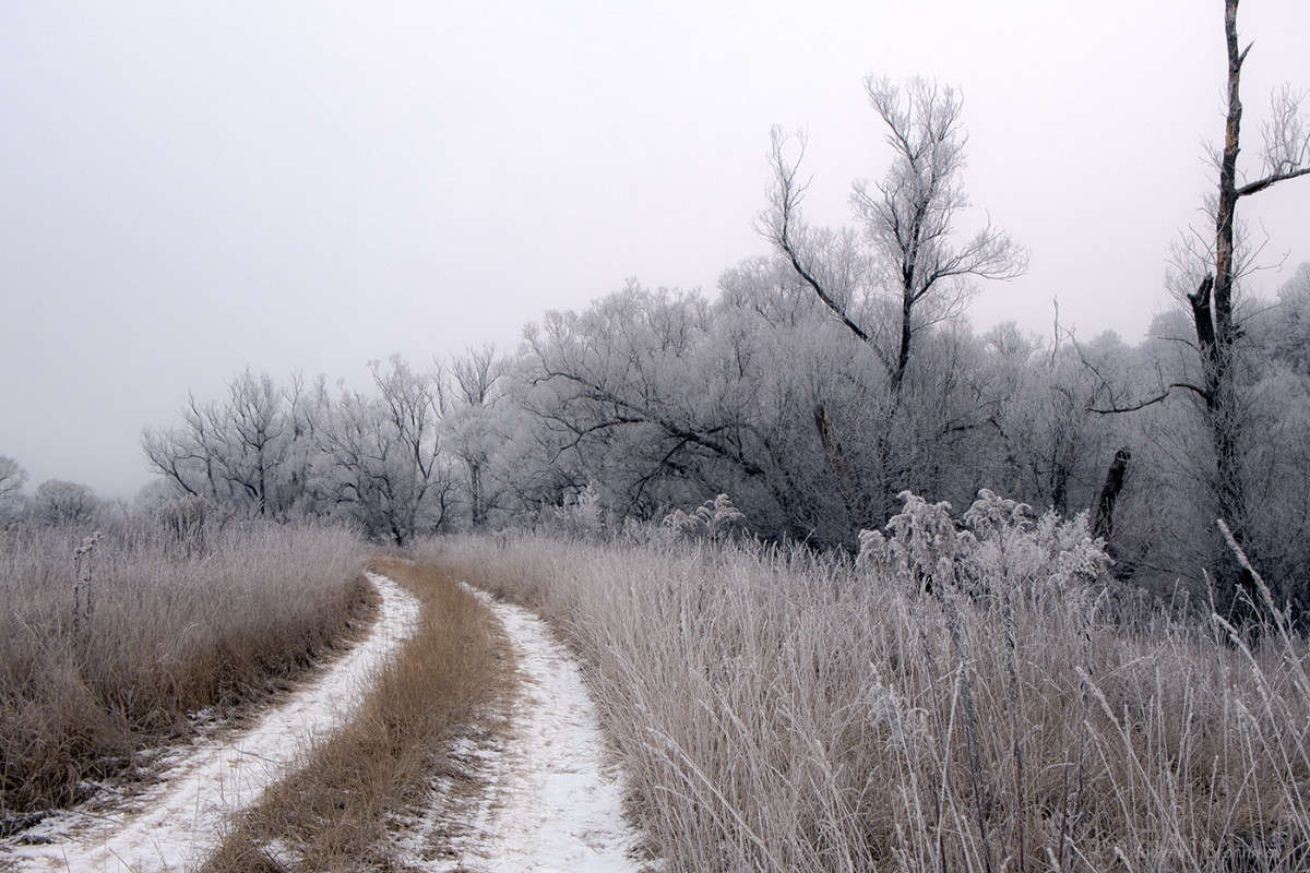 ������ � ����! ����� Vladimir Bronnikov �� PhotoGeek.ru #������ ��� �������