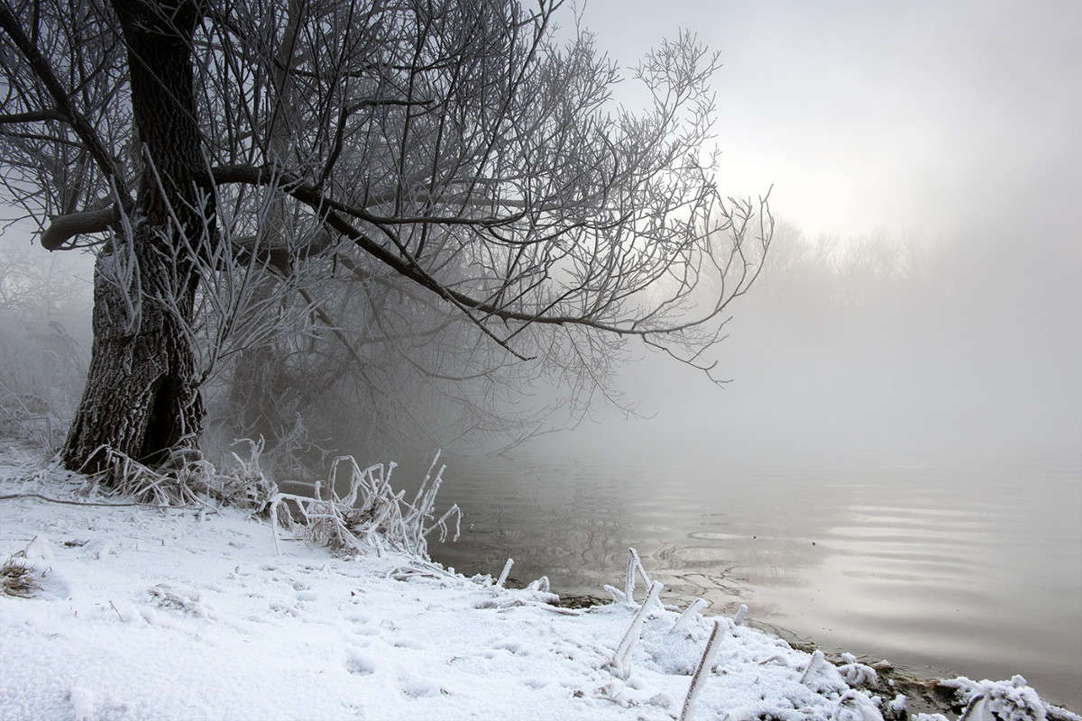 ... ����� Vladimir Bronnikov �� PhotoGeek.ru #������ ��� �������