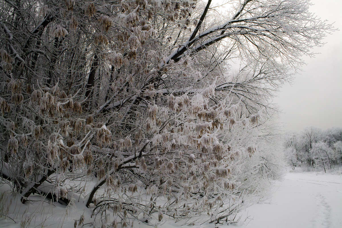 ���� � �������� ����! ����� Vladimir Bronnikov �� PhotoGeek.ru #������ ��� �������