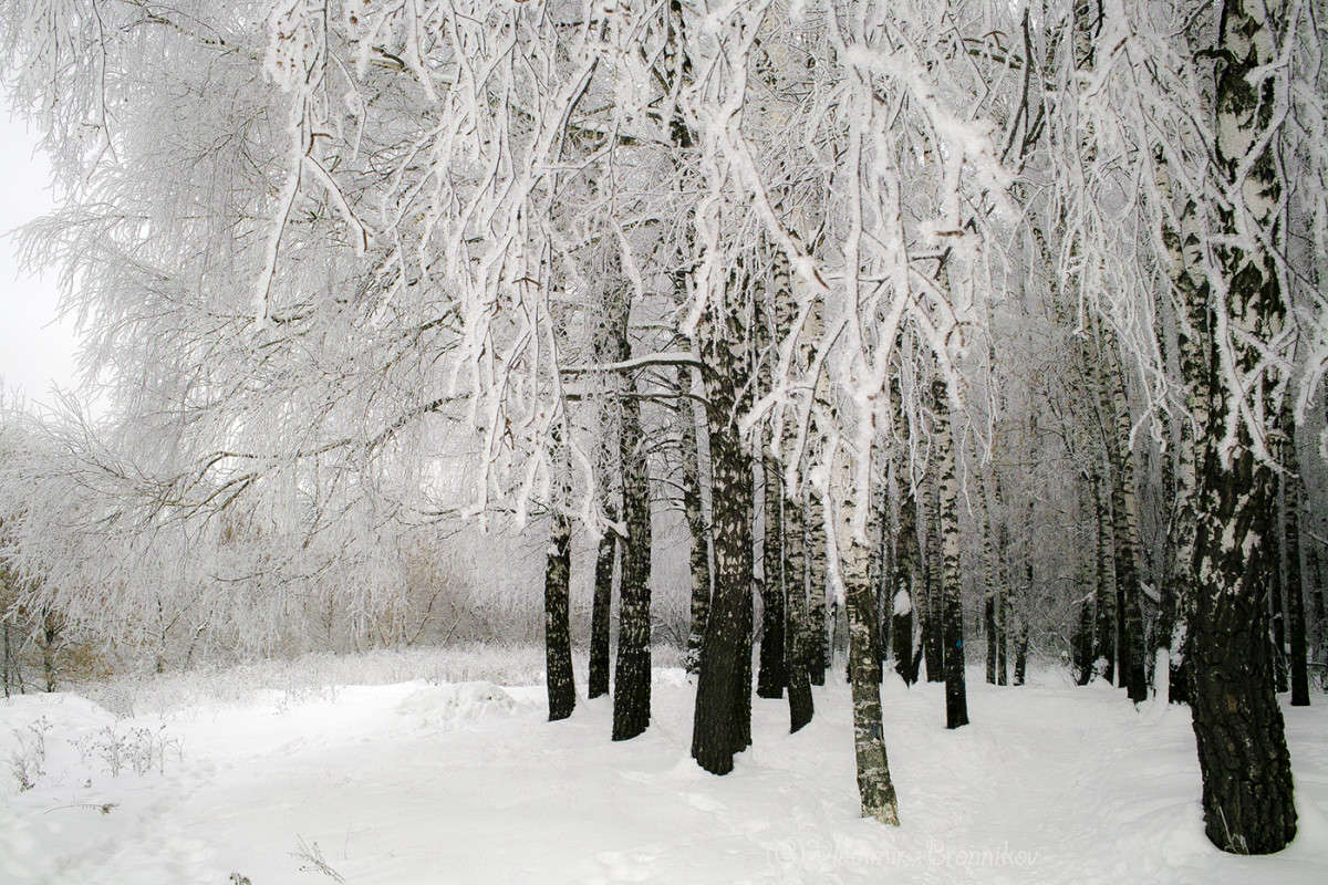 ���� �� ������! ����� Vladimir Bronnikov �� PhotoGeek.ru #������ ��� �������