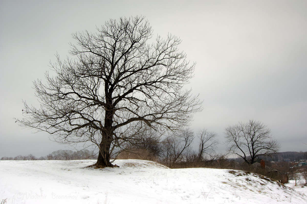 �������-������-�������� ������ ����� Vladimir Bronnikov �� PhotoGeek.ru #������ ��� �������