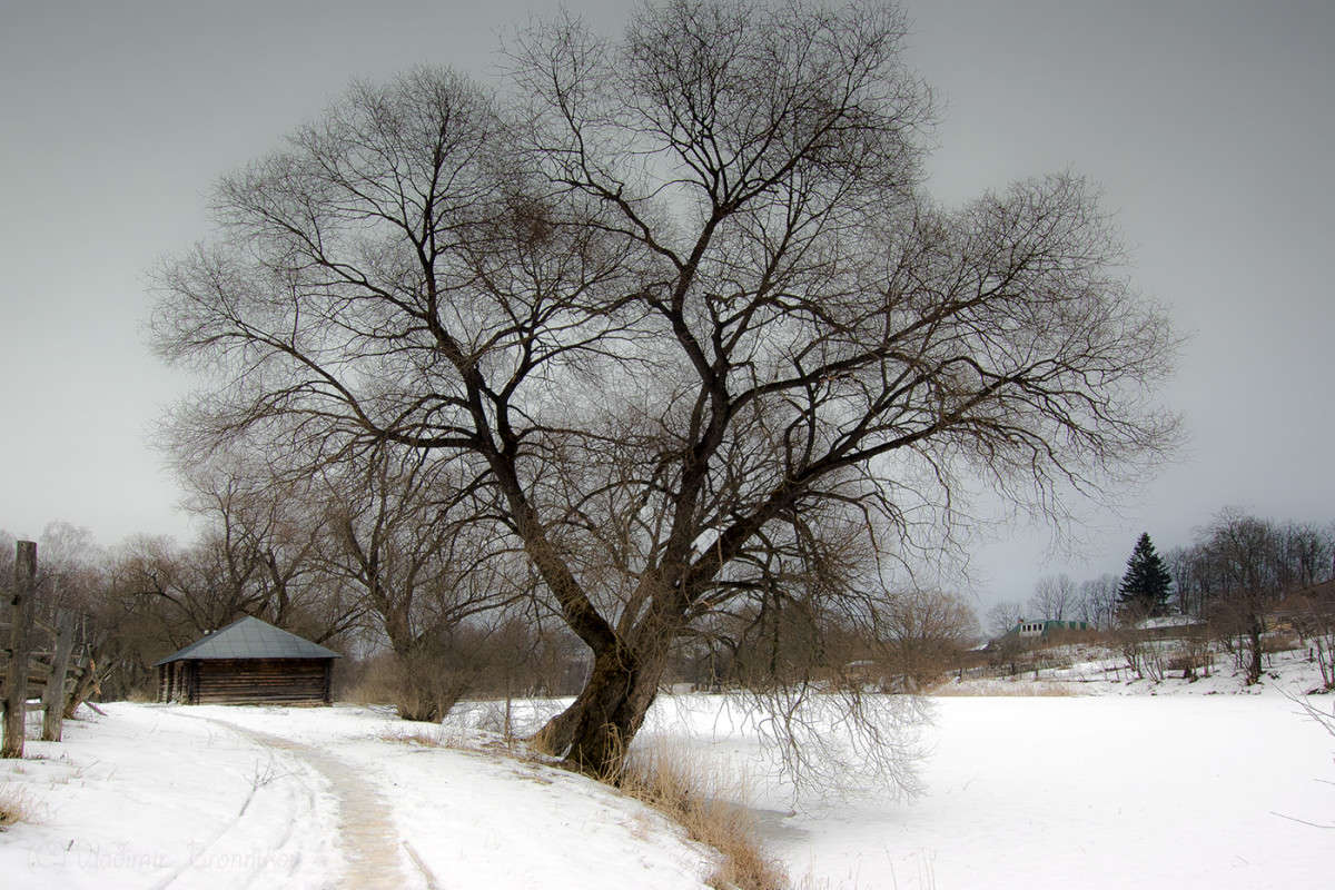 � �����! ����� Vladimir Bronnikov �� PhotoGeek.ru #������ ��� �������