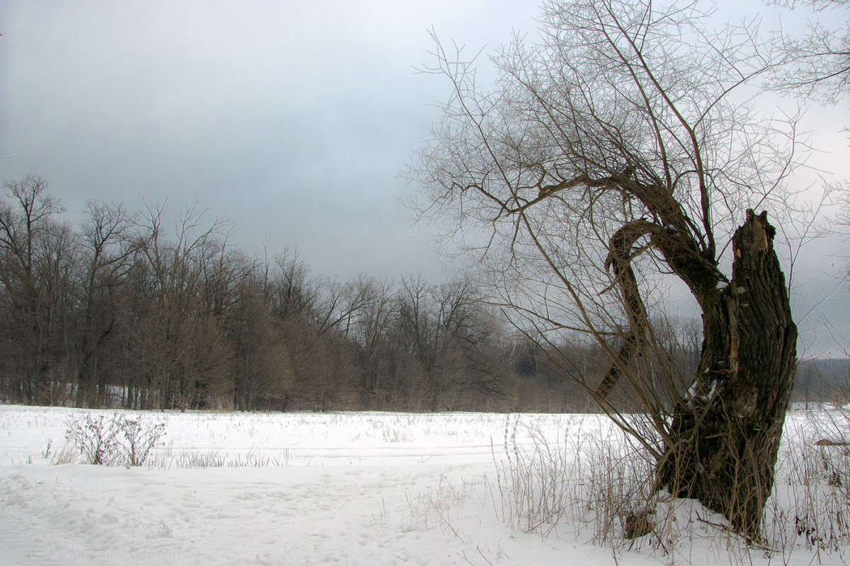 ������ ���.................. ����� Vladimir Bronnikov �� PhotoGeek.ru #������ ��� �������