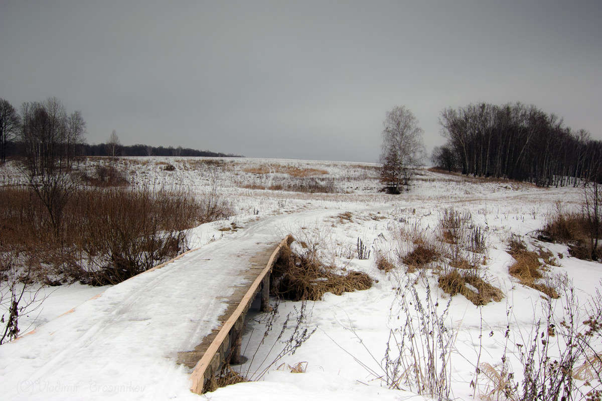 ������ � �������(��� ����� ���� �����) ����� Vladimir Bronnikov �� PhotoGeek.ru #������ ��� �������