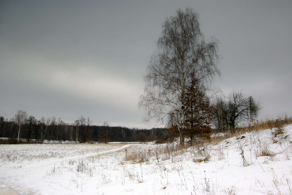 ������ �� ��������� ����.................. ����� Vladimir Bronnikov �� PhotoGeek.ru #������ ��� �������