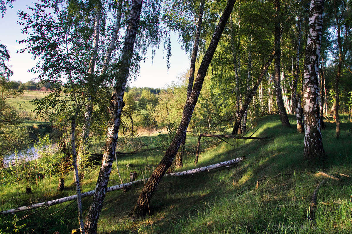 ��������� ���!!!!!!!!!!! ����� Vladimir Bronnikov �� PhotoGeek.ru #������ ��� �������