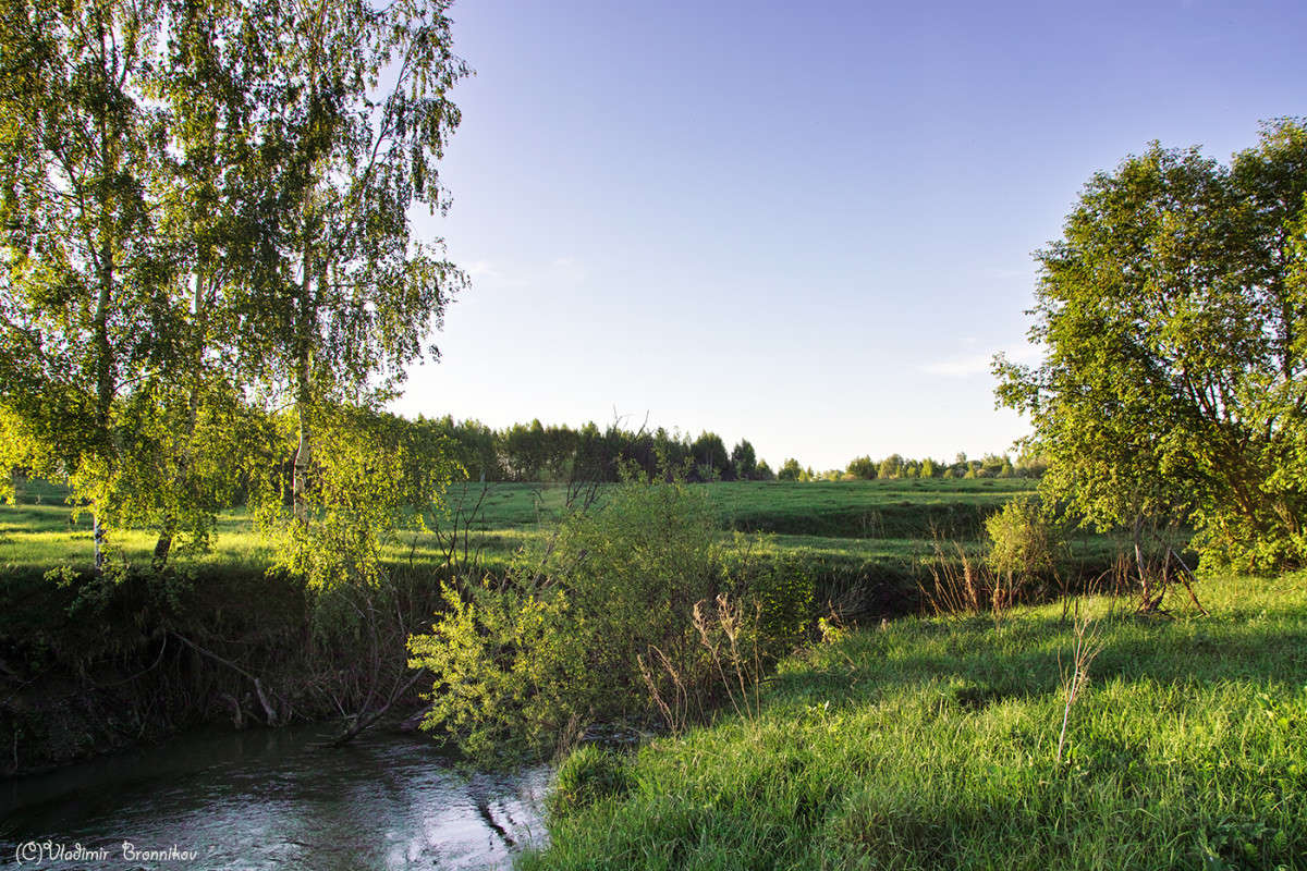 �������� ������ � �������.......... ����� Vladimir Bronnikov �� PhotoGeek.ru #������ ��� �������