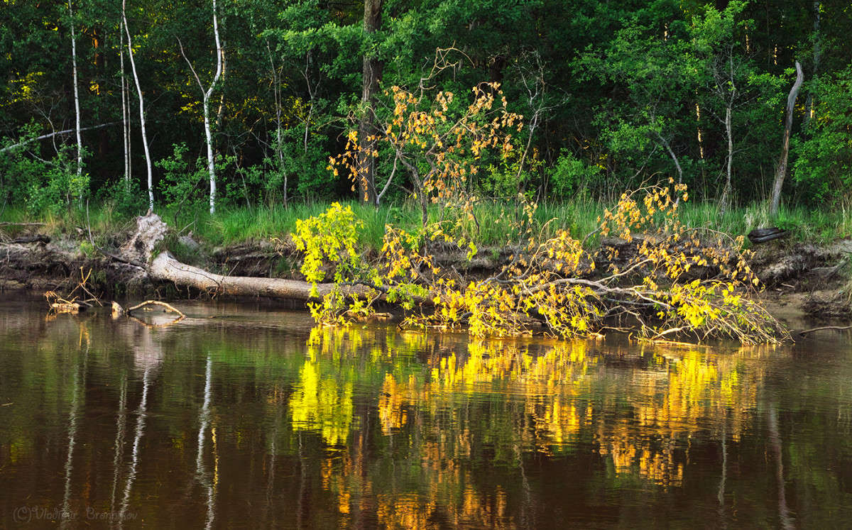 ��������� ������ �� ������� ������............ ����� Vladimir Bronnikov �� PhotoGeek.ru #������ ��� �������