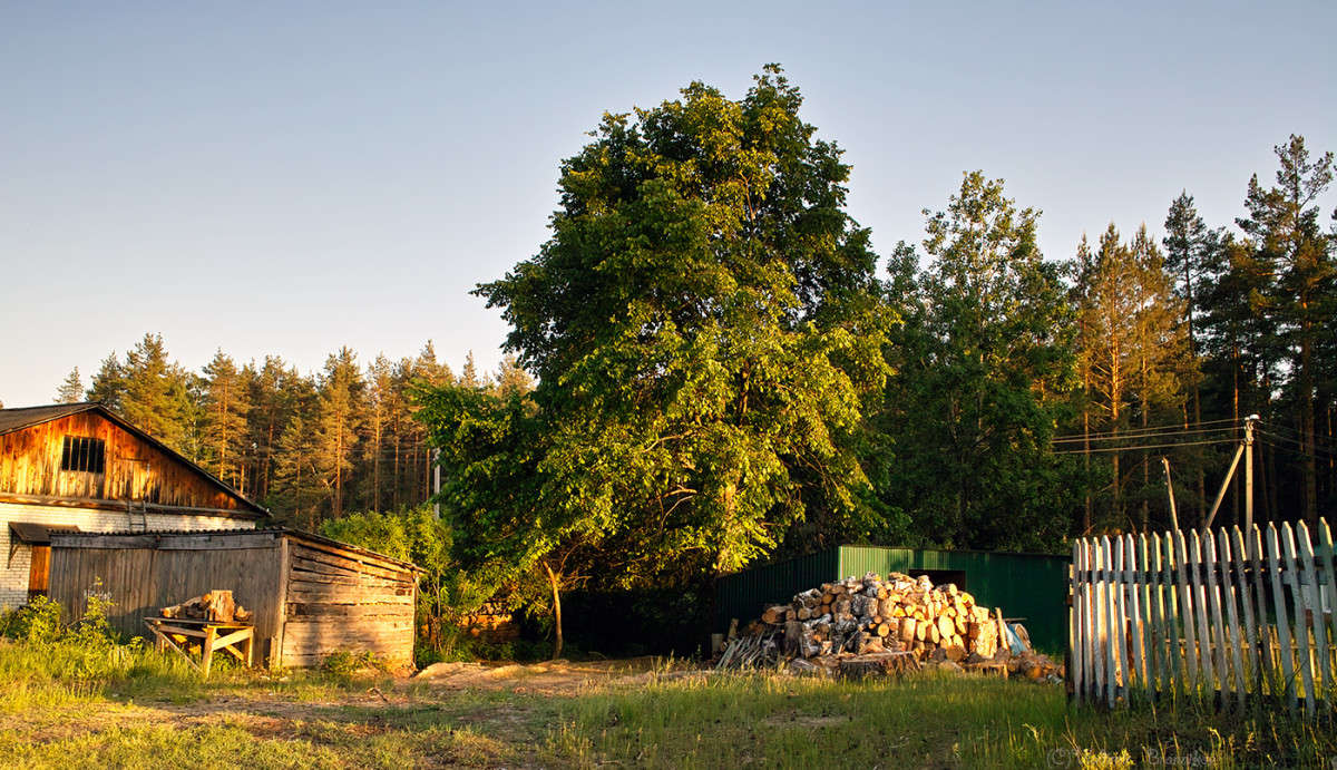 � ������� �������........... ����� Vladimir Bronnikov �� PhotoGeek.ru #������ ��� �������