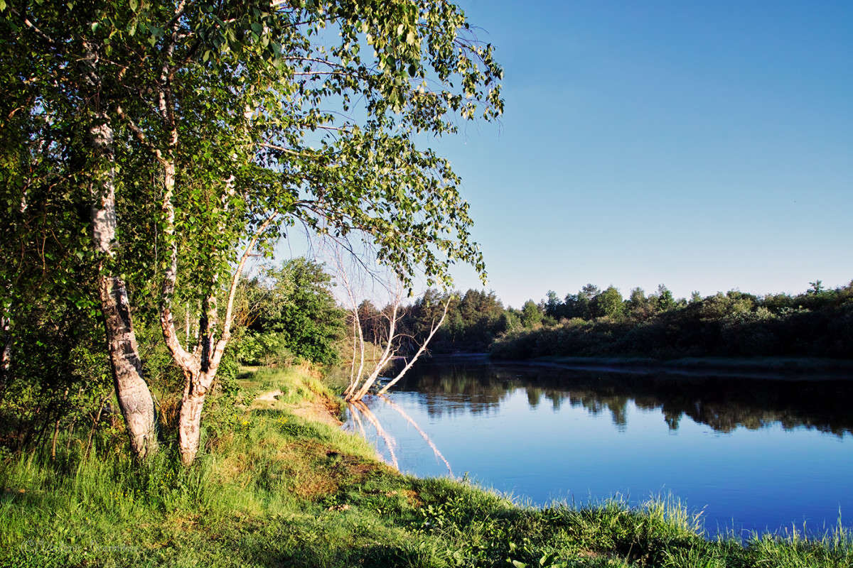 ����� �� ����............ ����� Vladimir Bronnikov �� PhotoGeek.ru #������ ��� �������