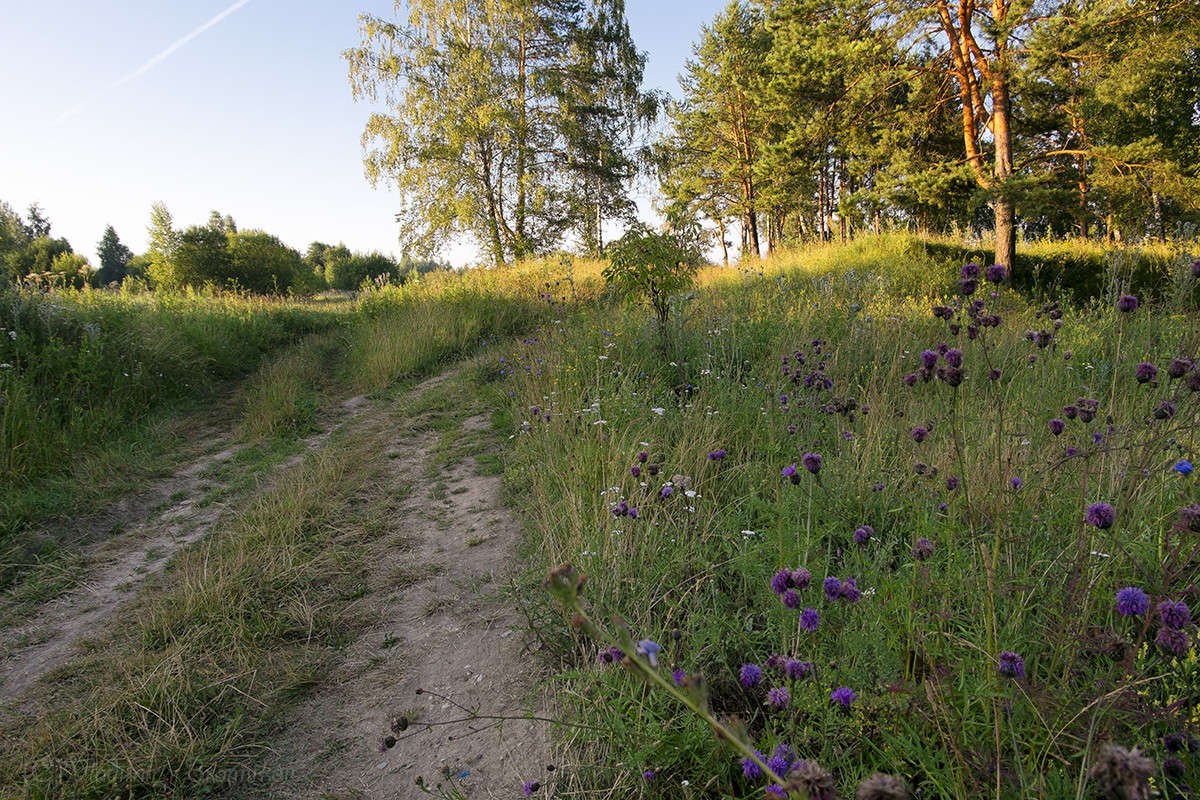 July Morning..... ����� Vladimir Bronnikov �� PhotoGeek.ru #������ ��� �������