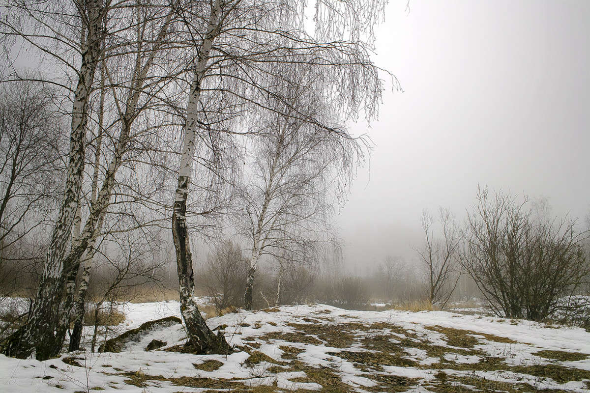 ����� �� �����...... ����� Vladimir Bronnikov �� PhotoGeek.ru #������ ��� �������