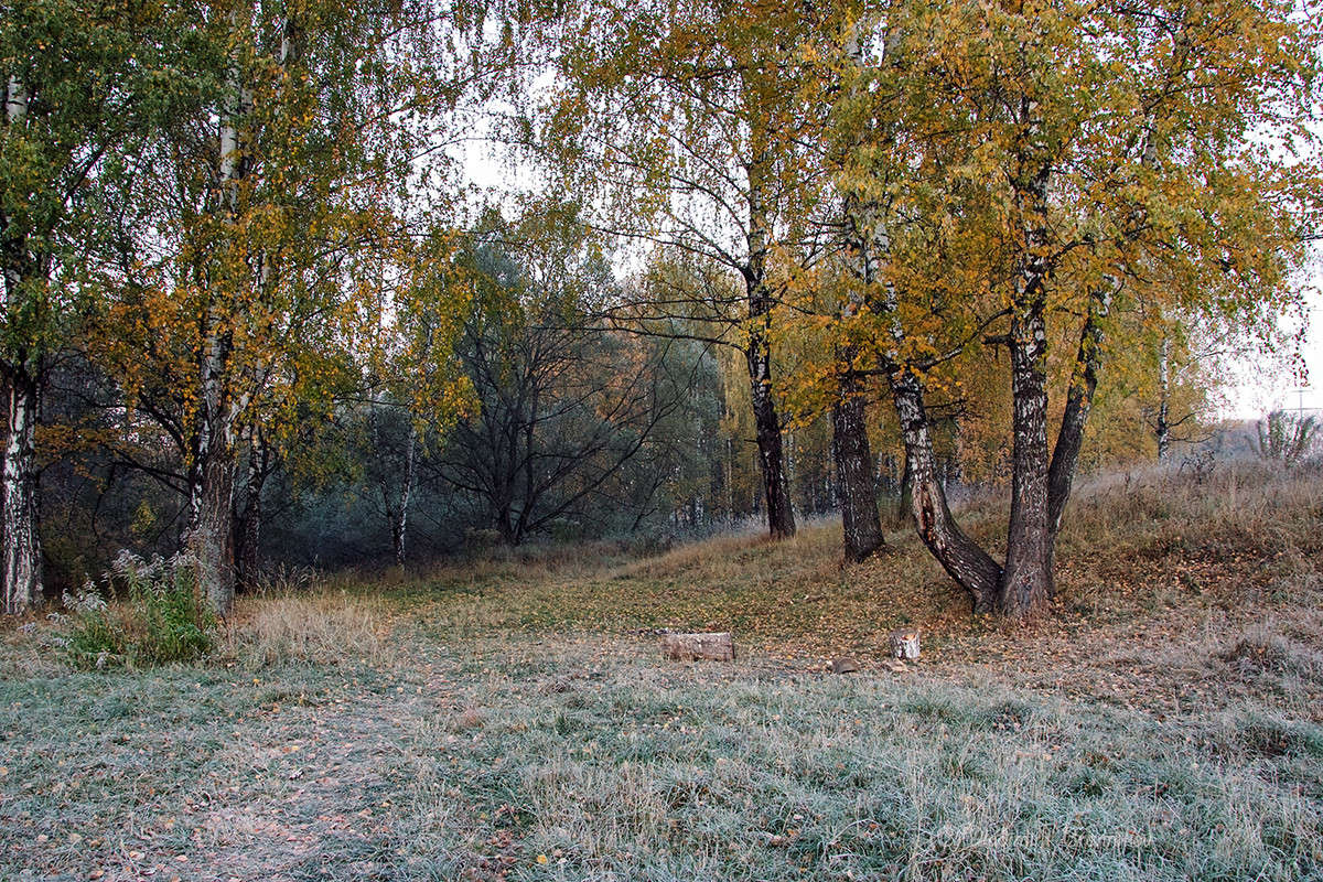 ������ ���������,�� �������� ��� �����.... ����� Vladimir Bronnikov �� PhotoGeek.ru #������ ��� �������