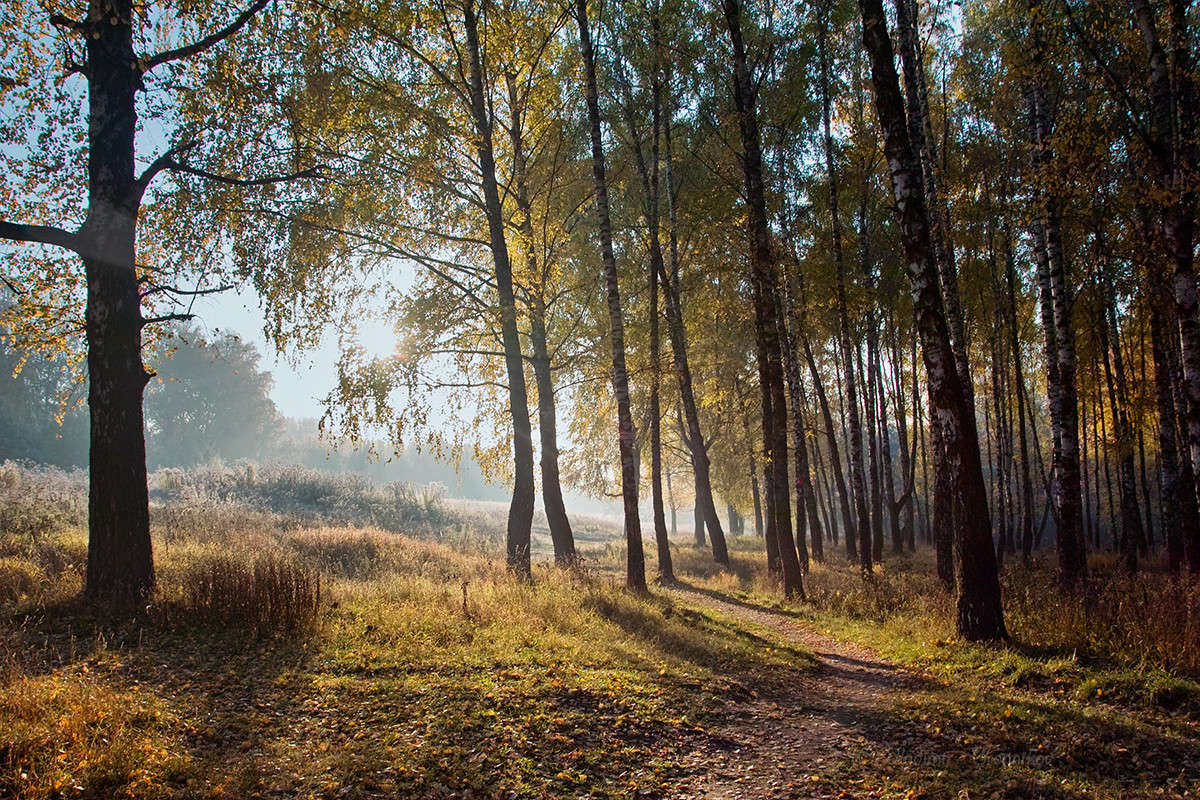 ������ ���������,�� �������� ��� �����.... ����� Vladimir Bronnikov �� PhotoGeek.ru #������ ��� �������