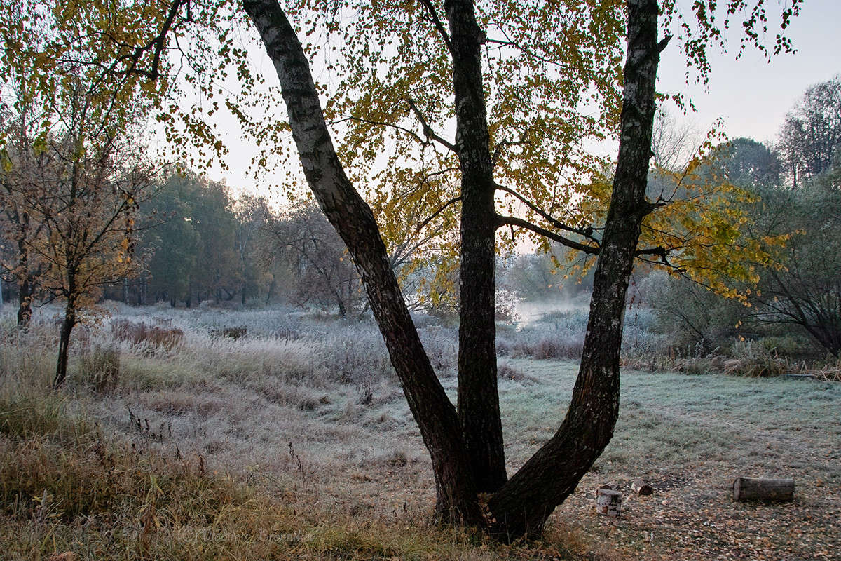 ������ ���������. ����� Vladimir Bronnikov �� PhotoGeek.ru #������ ��� �������