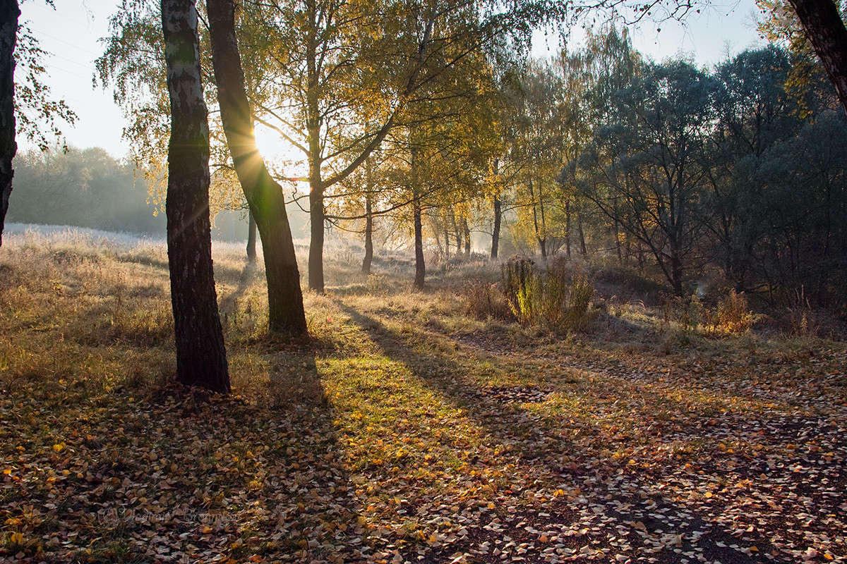 ������ ���������,�� �������� ��� �����.... ����� Vladimir Bronnikov �� PhotoGeek.ru #������ ��� �������