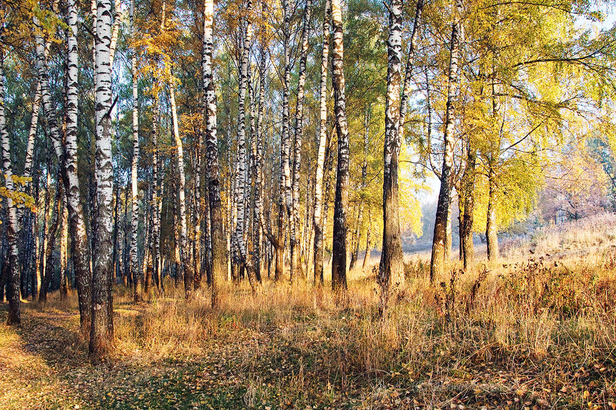 �����.. ����� Vladimir Bronnikov �� PhotoGeek.ru #������ ��� �������