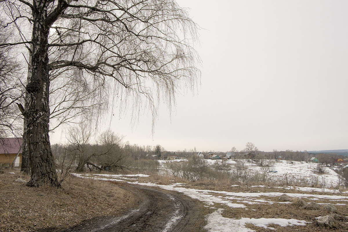 ����������� �. ������(������� � ��������) ����� Vladimir Bronnikov �� PhotoGeek.ru #������ ��� �������