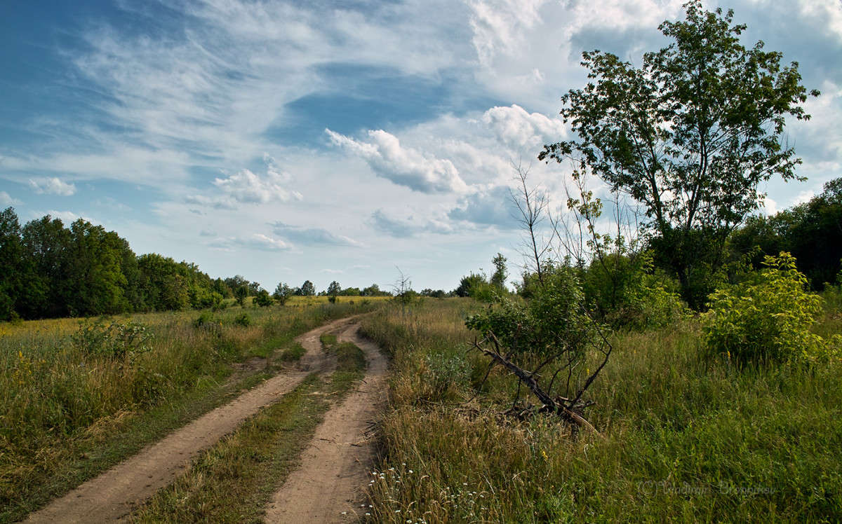 ������ ��������.......... ����� Vladimir Bronnikov �� PhotoGeek.ru #������ ��� �������