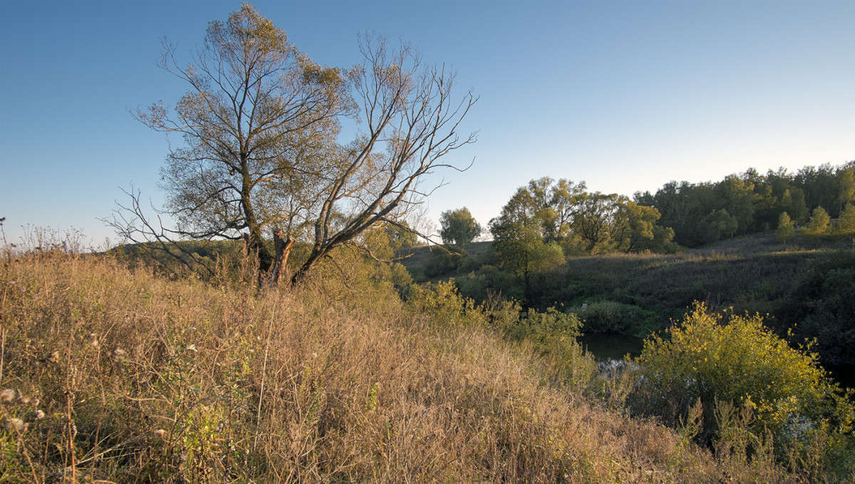 ������ �� �������...... ����� Vladimir Bronnikov �� PhotoGeek.ru #������ ��� �������