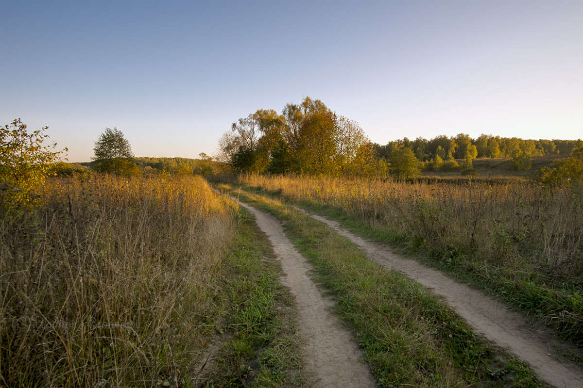 ������ �� �������...... ����� Vladimir Bronnikov �� PhotoGeek.ru #������ ��� �������