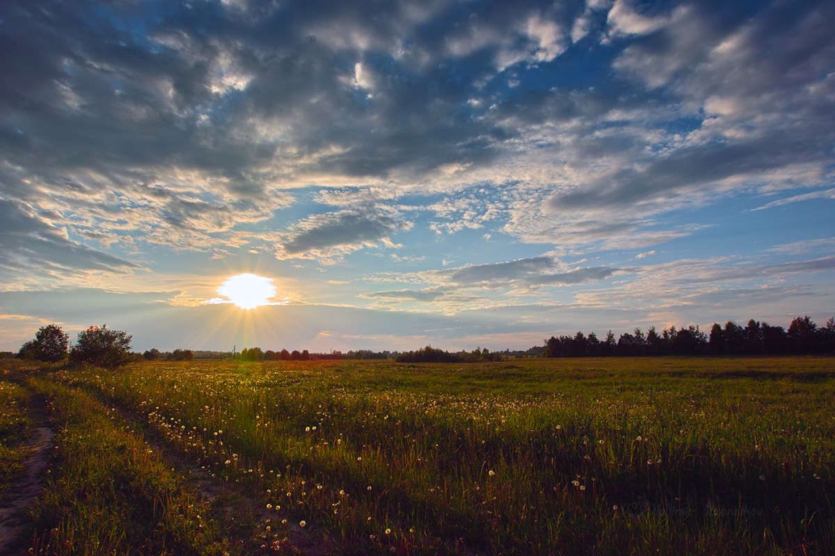 ������������� ����..... ����� Vladimir Bronnikov �� PhotoGeek.ru #������ ��� �������