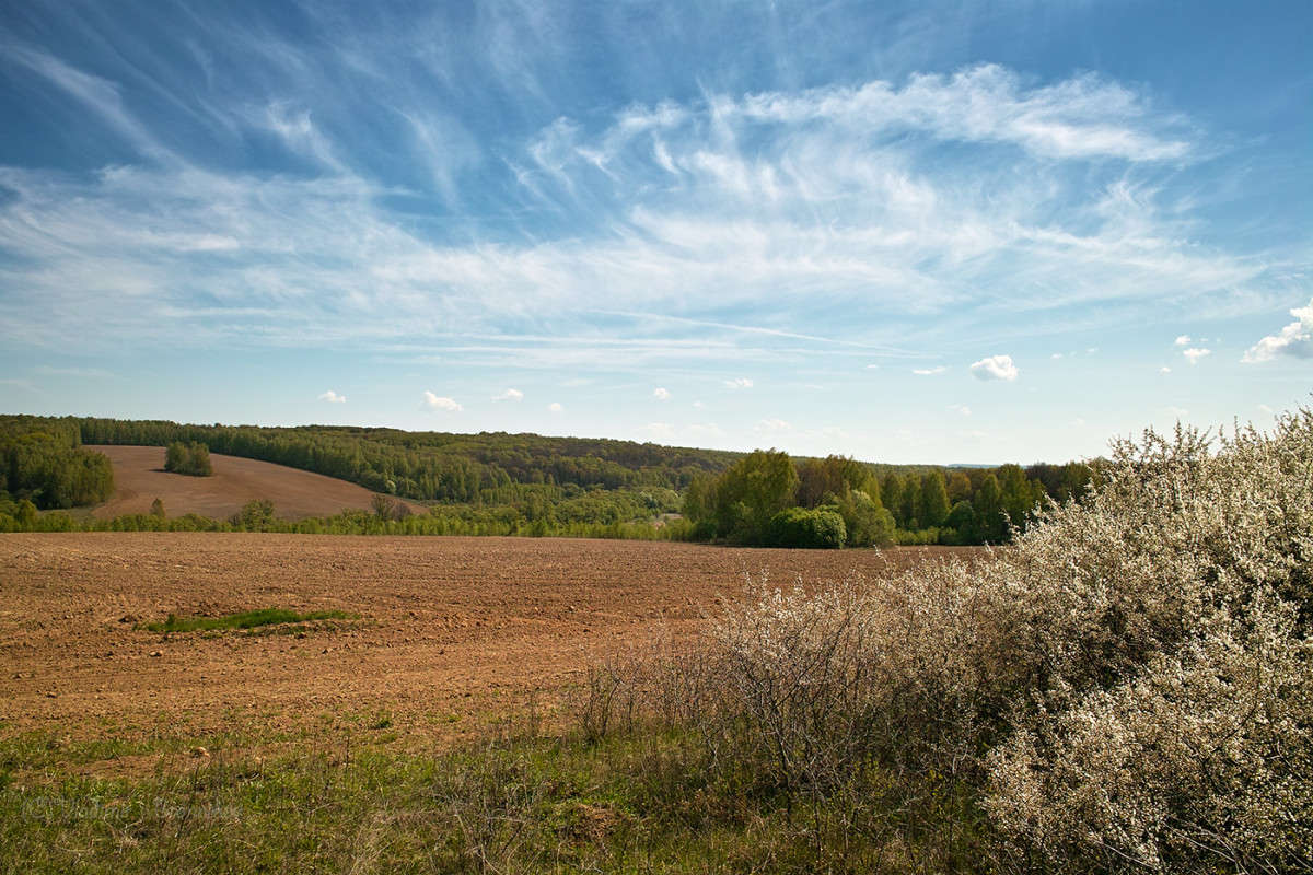 �������� ���� � ����������� ���........... ����� Vladimir Bronnikov �� PhotoGeek.ru #������ ��� �������