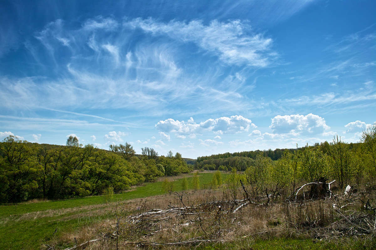 �������� ���� � ����������� ���........... ����� Vladimir Bronnikov �� PhotoGeek.ru #������ ��� �������