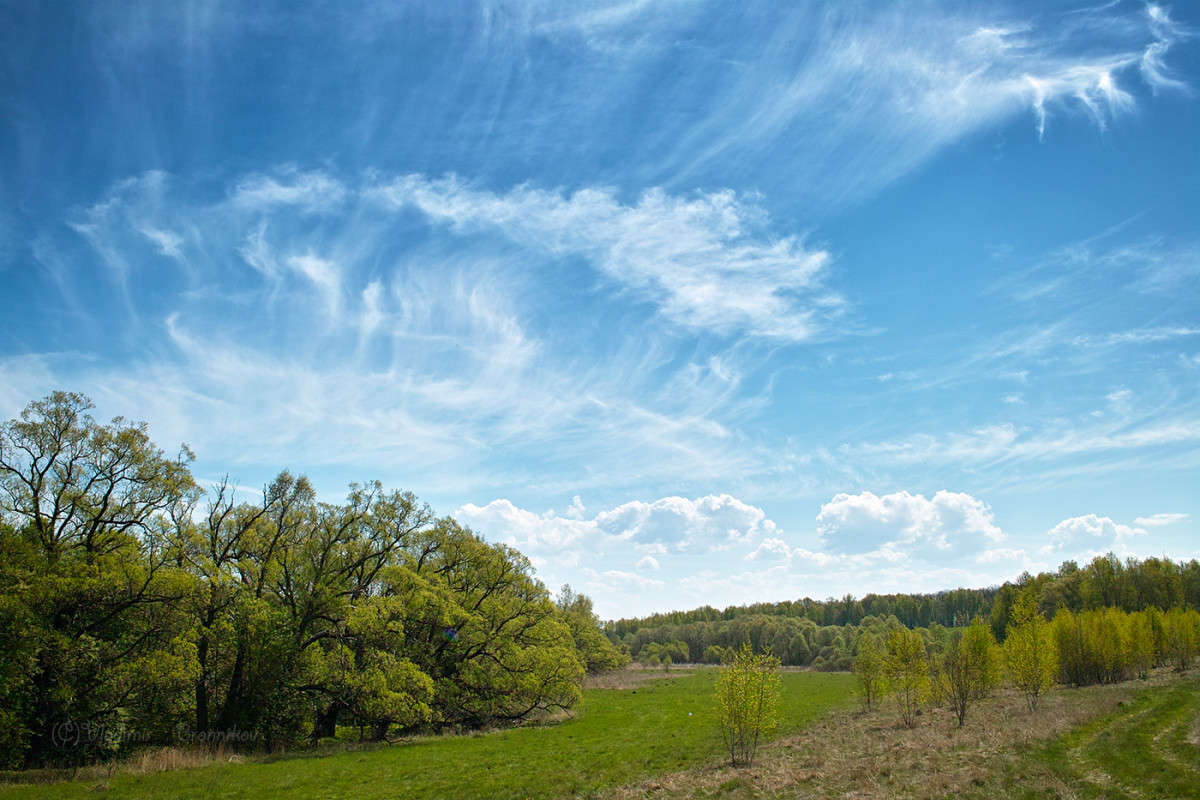 �������� ���� � ����������� ���........... ����� Vladimir Bronnikov �� PhotoGeek.ru #������ ��� �������