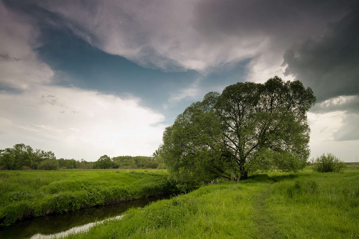 ����� ������ ����� Vladimir Bronnikov �� PhotoGeek.ru #������ ��� �������