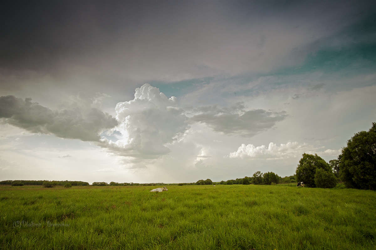 ����� ������ ����� Vladimir Bronnikov �� PhotoGeek.ru #������ ��� �������