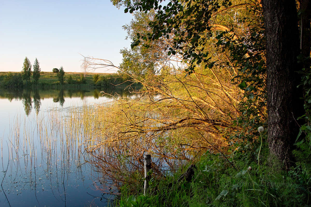 ����� �� ������ �����............ ����� Vladimir Bronnikov �� PhotoGeek.ru #������ ��� �������