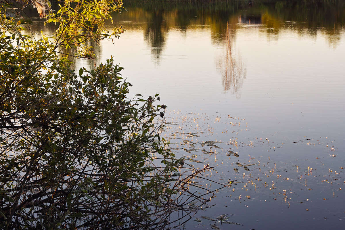 ����� �� ������ �����............ ����� Vladimir Bronnikov �� PhotoGeek.ru #������ ��� �������