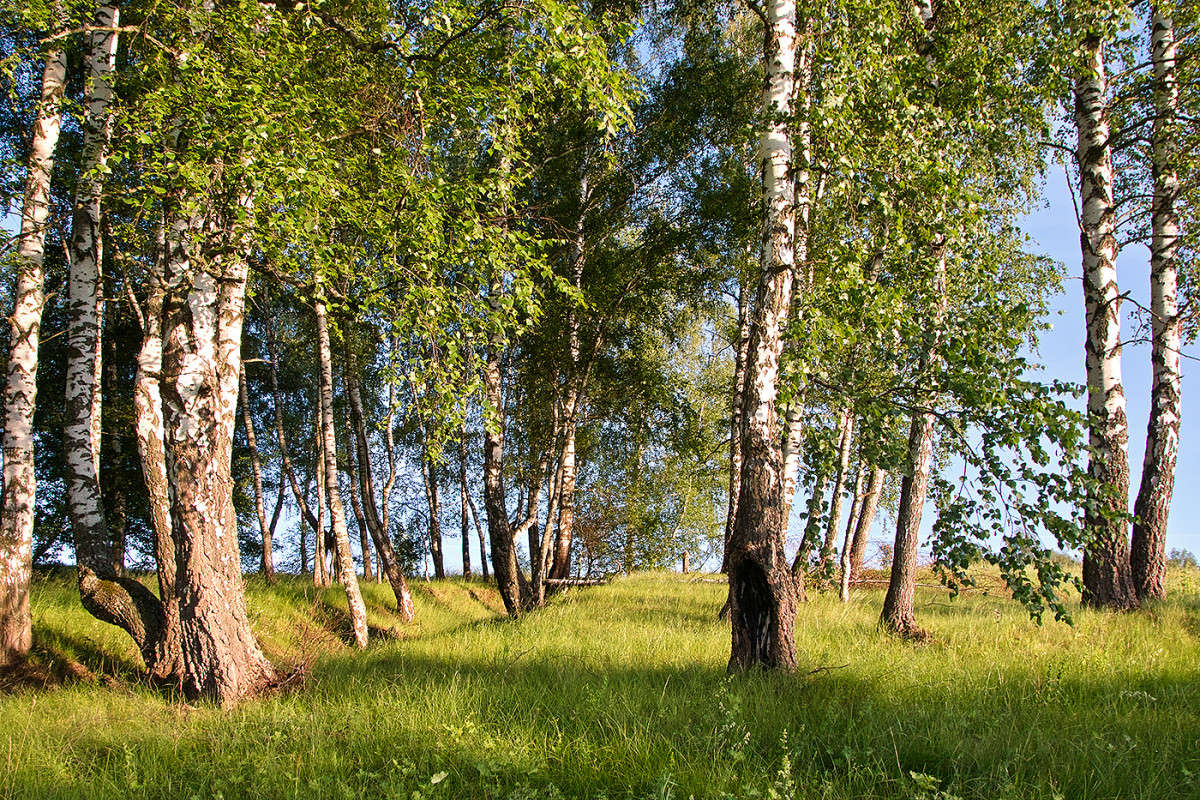 �������� ������...... ����� Vladimir Bronnikov �� PhotoGeek.ru #������ ��� �������