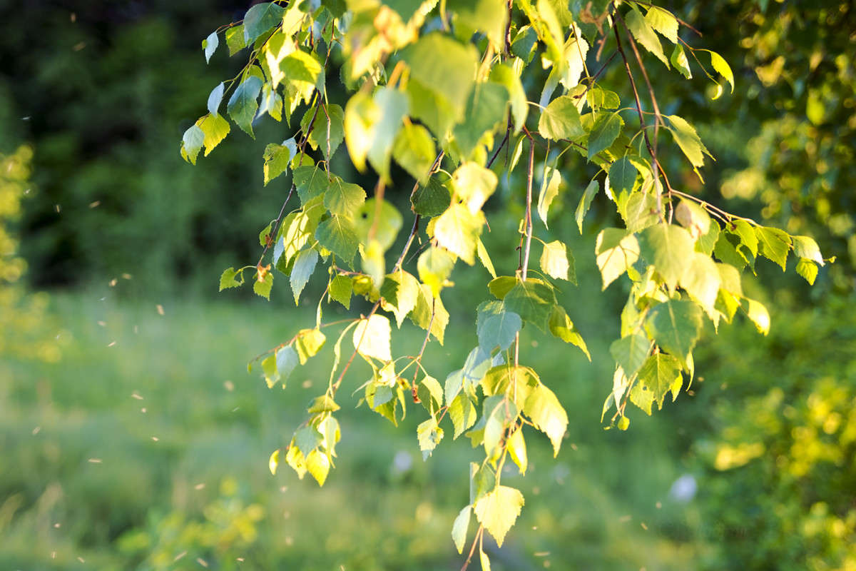 ��������� ��������............ ����� Vladimir Bronnikov �� PhotoGeek.ru #������ ��� �������