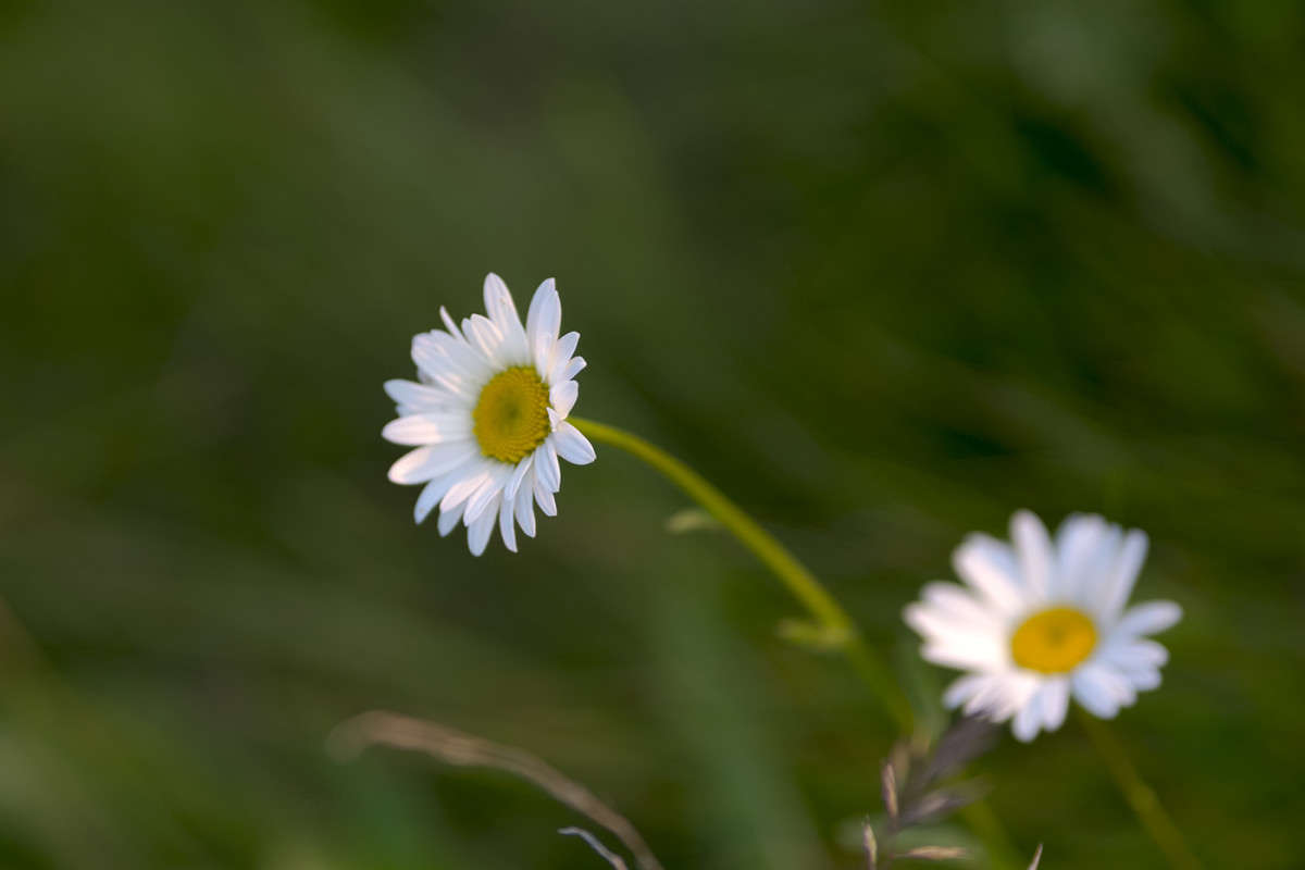 �������� ������...... ����� Vladimir Bronnikov �� PhotoGeek.ru #������ ��� �������