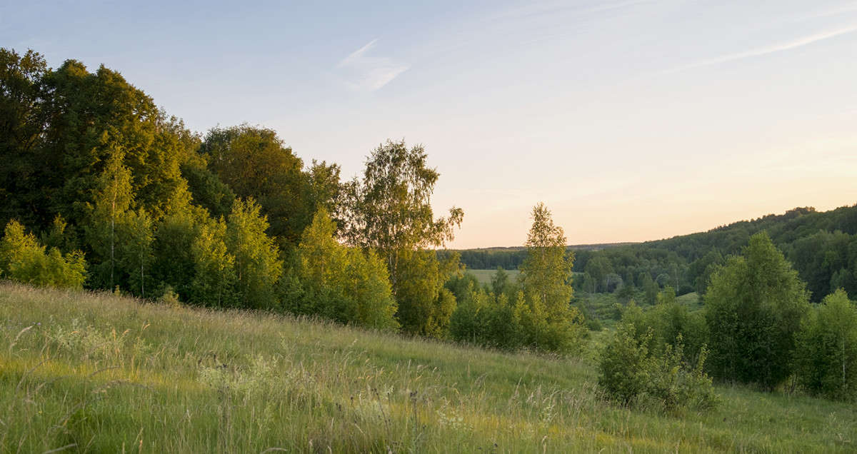 �������� ������...... ����� Vladimir Bronnikov �� PhotoGeek.ru #������ ��� �������