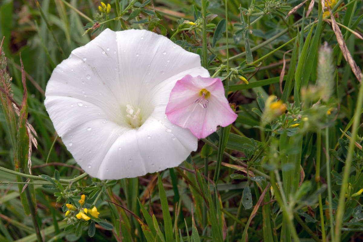 ���� ��� �� ����� ������............ ����� Vladimir Bronnikov �� PhotoGeek.ru #�����